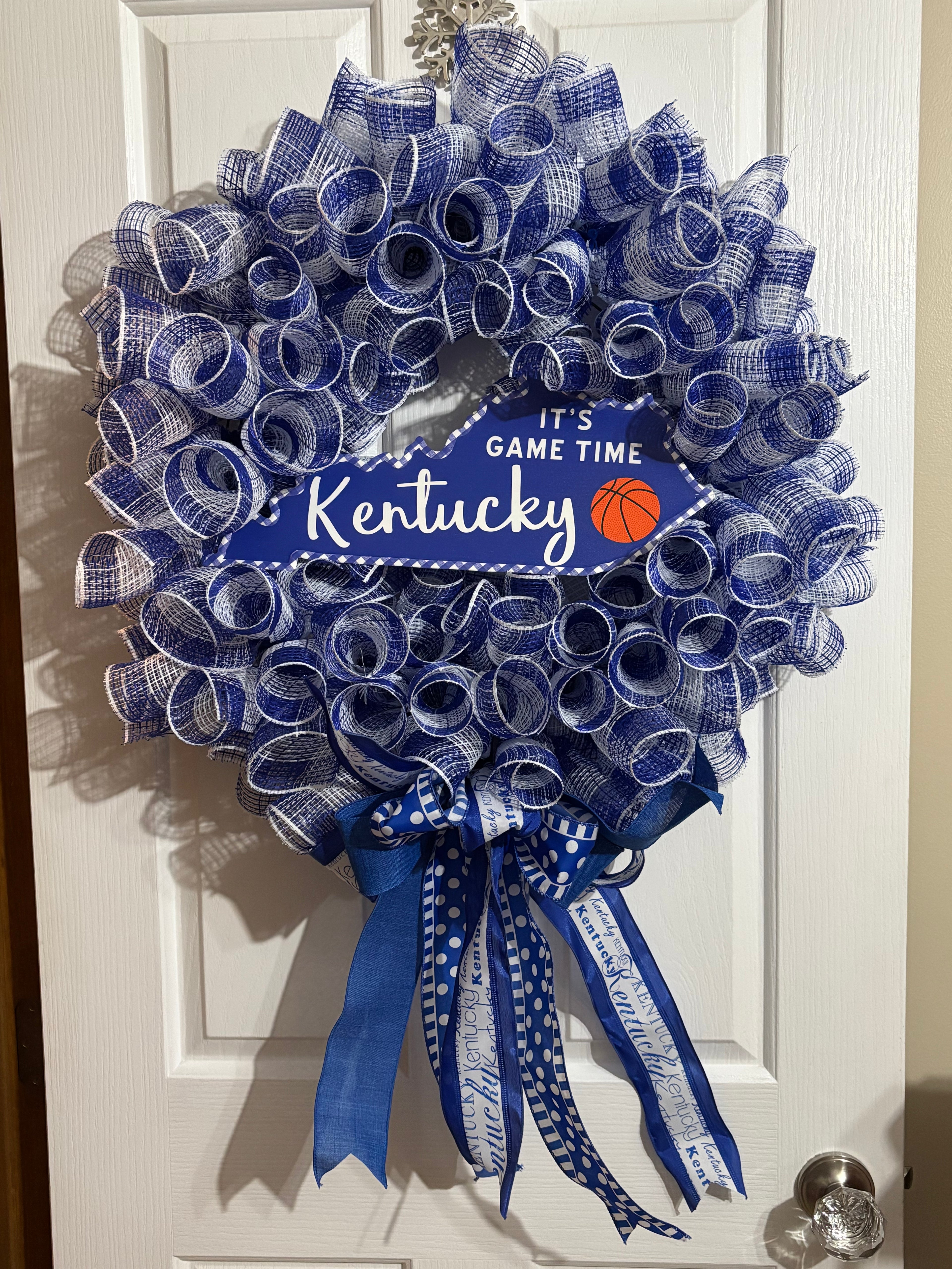 University of Kentucky Deco Mesh